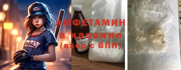 прущие грибы Алзамай
