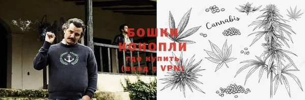 прущие грибы Алзамай