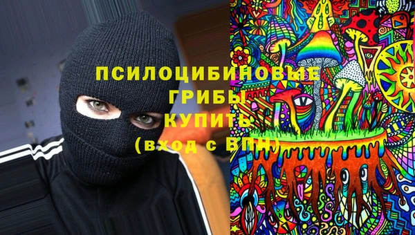 сатива Всеволожск