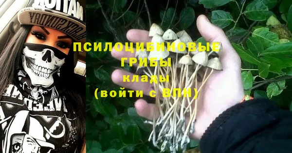 ПСИЛОЦИБИНОВЫЕ ГРИБЫ Алексеевка